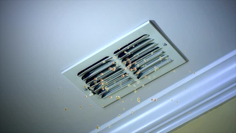 Best Dryer Vent Cleaning Services  in Forest, VA