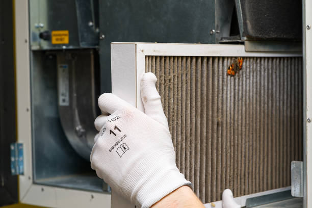 Best Affordable Duct Cleaning Services  in Forest, VA