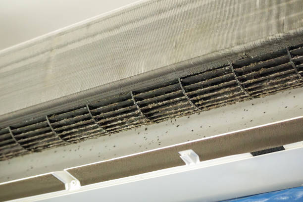 Best Air Duct Cleaning Near Me  in Forest, VA