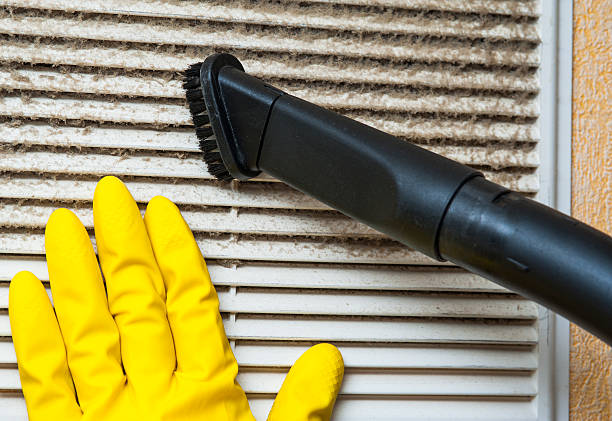 Best Air Duct Sanitizing Services  in Forest, VA